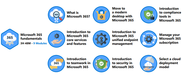 Latest MS-900 Exam Experience