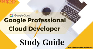 Valid Professional-Cloud-DevOps-Engineer Exam Testking