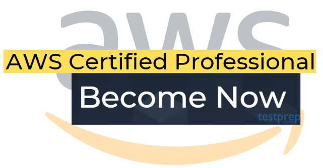 aws professional