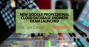 Valid Professional-Cloud-Database-Engineer Exam Review