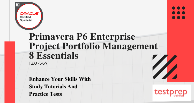 primavera p6 enterprise project portfolio management