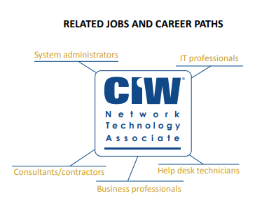 jobs and career paths