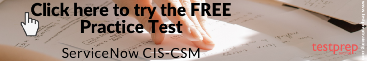 CIS-CSM Examsfragen