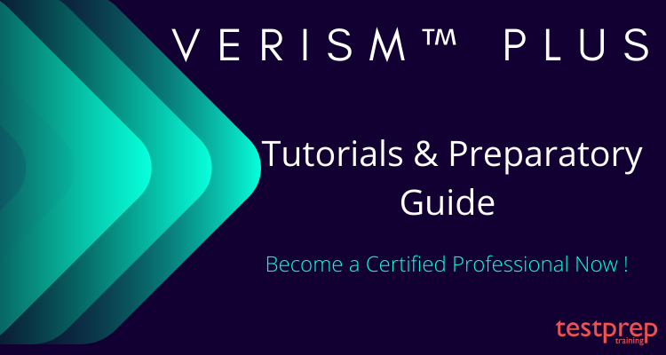 VeriSM Plus tutorials and preparatory guide 