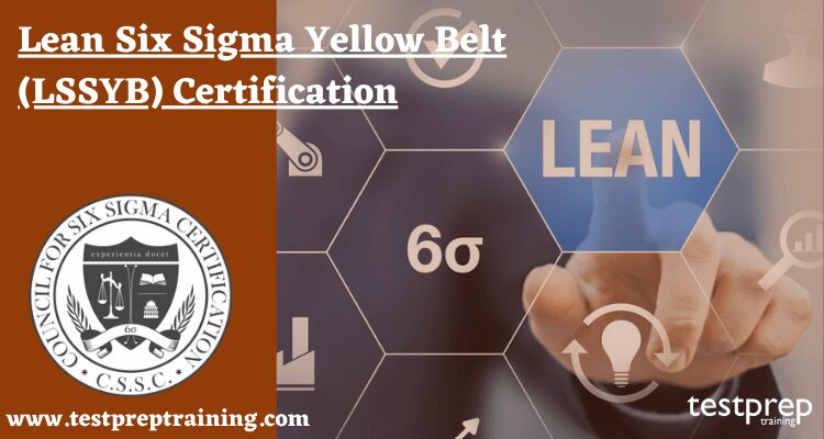 Lean Six Sigma Yellow Belt Certification (LSSYB) Certification