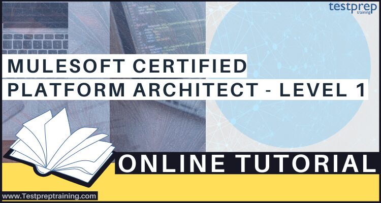 MuleSoft Certified Platform Architect - Level 1 exam tutorial Archives 