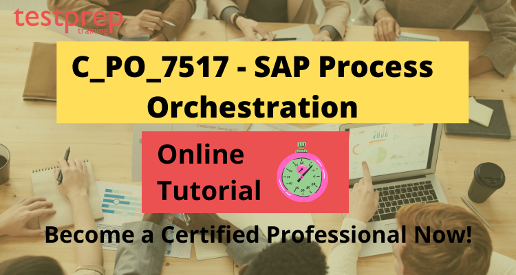 C_PO_7517 - SAP Process Orchestration Online Tutorial 