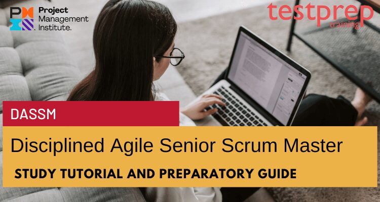 DASSM: Disciplined Agile Senior Scrum Master