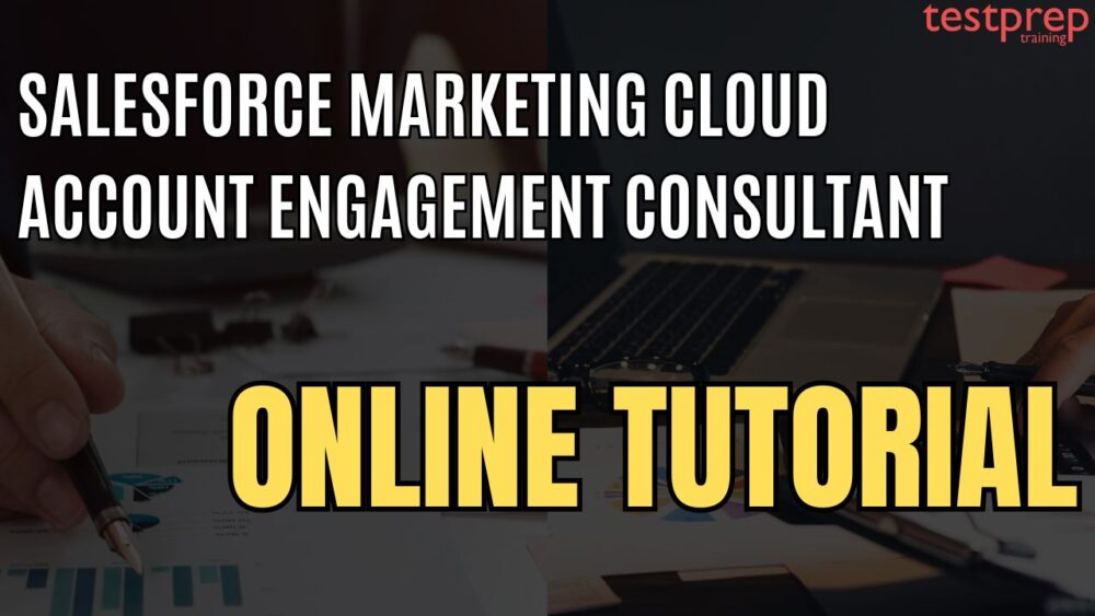 Salesforce Marketing Cloud Account Engagement Consultant