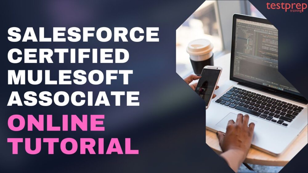 Salesforce Certified MuleSoft Associate