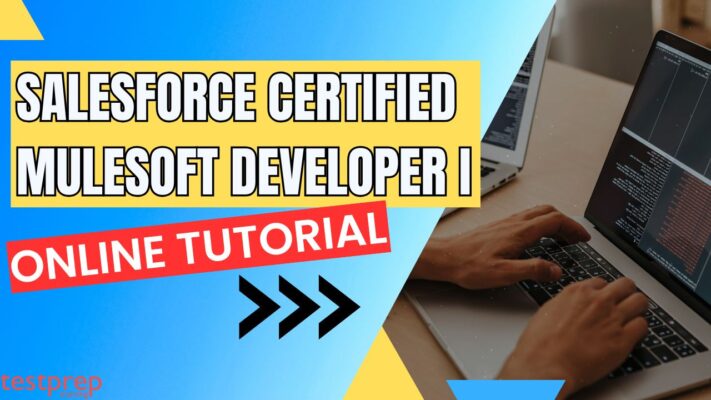 Salesforce Certified MuleSoft Developer I